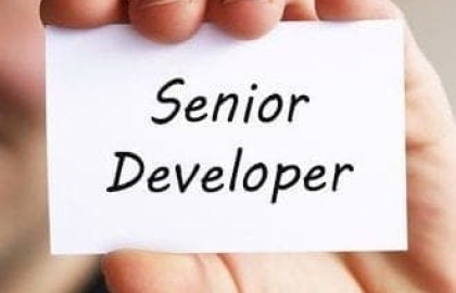 [Hà Nội/HCM] Project Manager/ Senior Developer